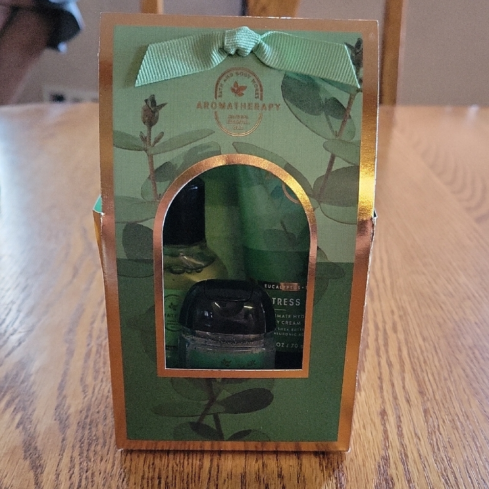 Bath & Body Works Aromatherapy Eucalyptus & Spearmint Set